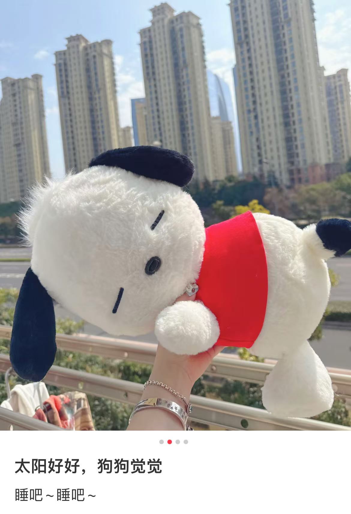 Sanrio|Pochacco Outfit Change Plush Dolls/Plush Toy|45×26×23cm approx.