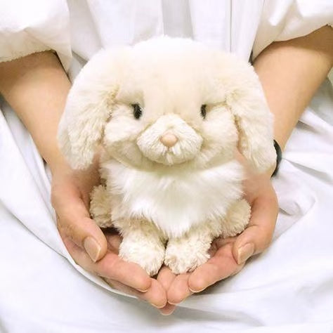 Sunlemon|Rabbit Plush Dolls/PlushToy|H17 x W12 x D16 cm approx.