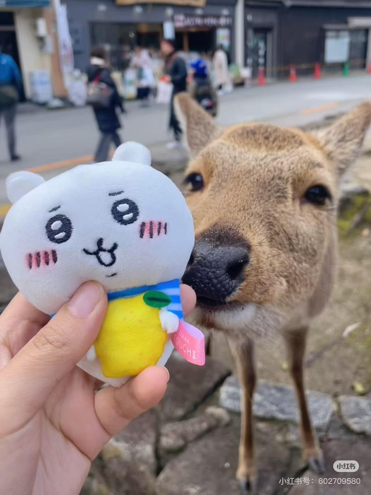 Chiikawa|Lemon Mascot Holder /Plush Keychain|H10cm approx.