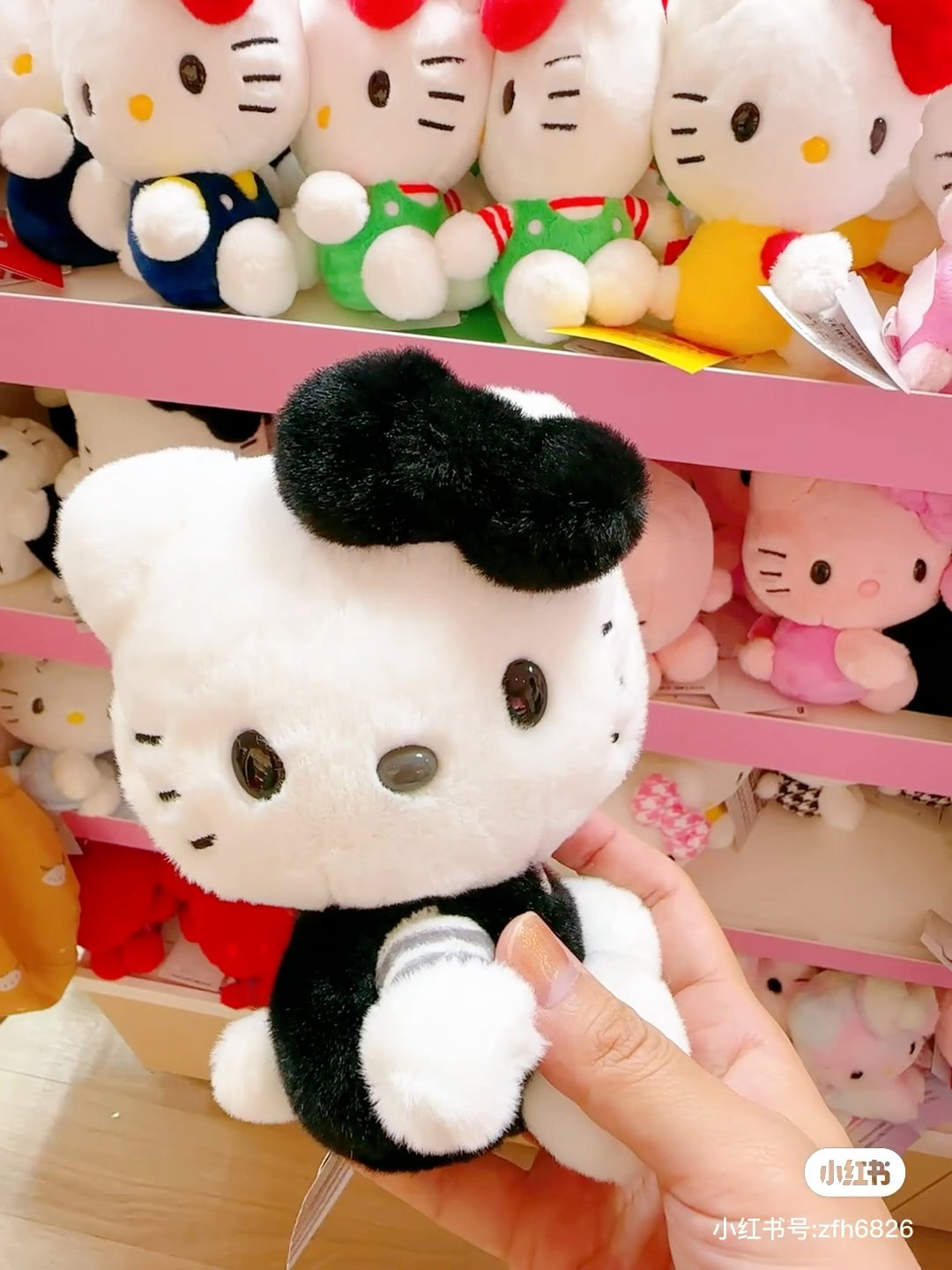 HelloKitty凯蒂猫|Sanrio Hello Kitty 50th Anniversary50周年限定缤纷24色colors毛绒玩偶/公仔 |约12.5 x 9.8 x 15 cm