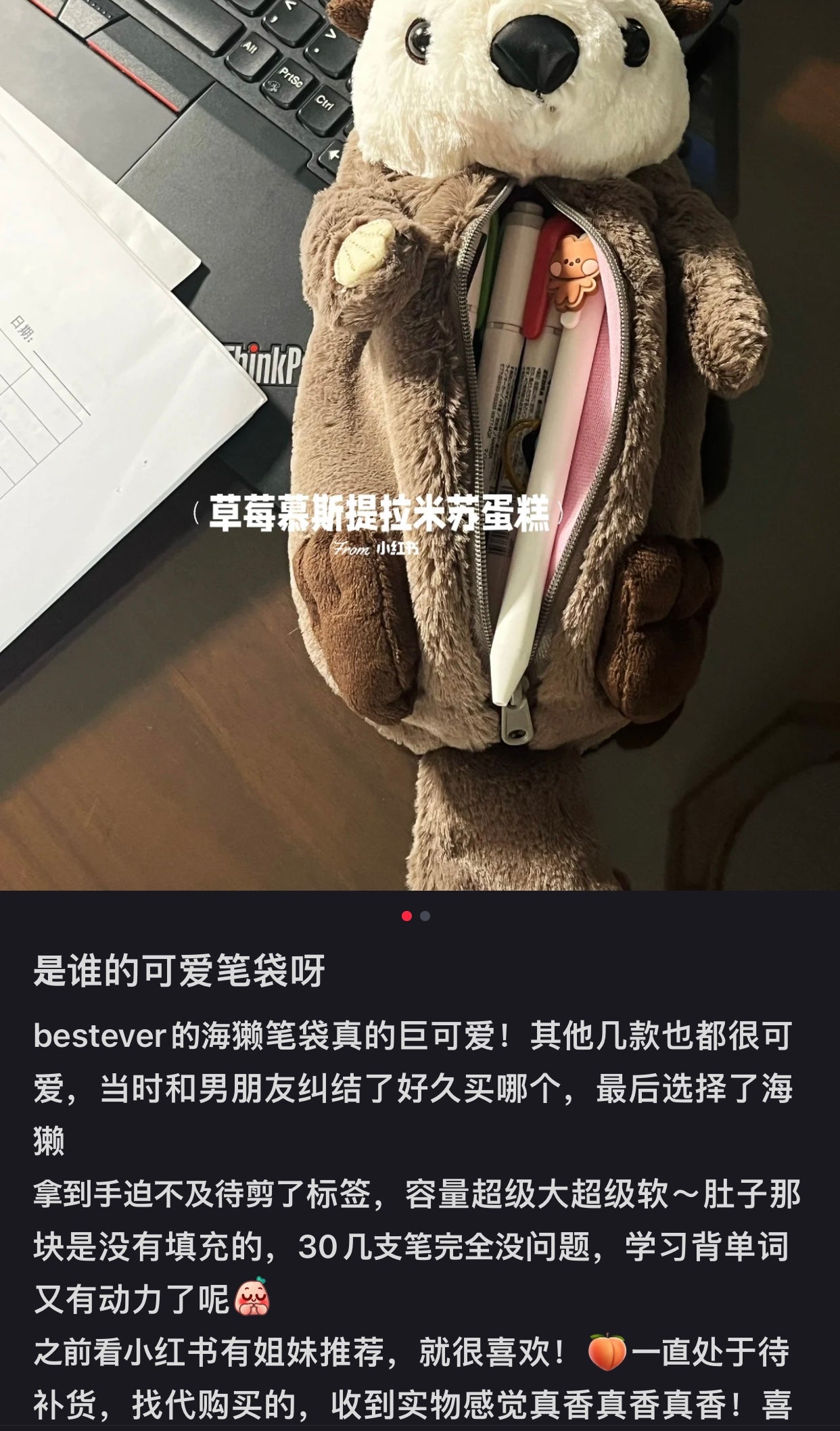 Bestever|超热门大容量水獭笔袋/软萌收纳袋|約 W10×H9×D31cm