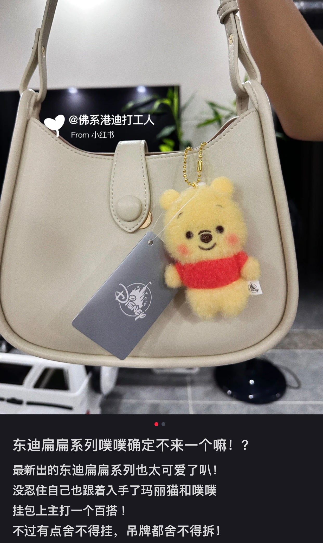 Disney|2023 Fluffy Flat毛茸茸扁扁/纸片人限定毛绒挂件/包挂|縦約9.5×横6.5×厚み3.5(cm)