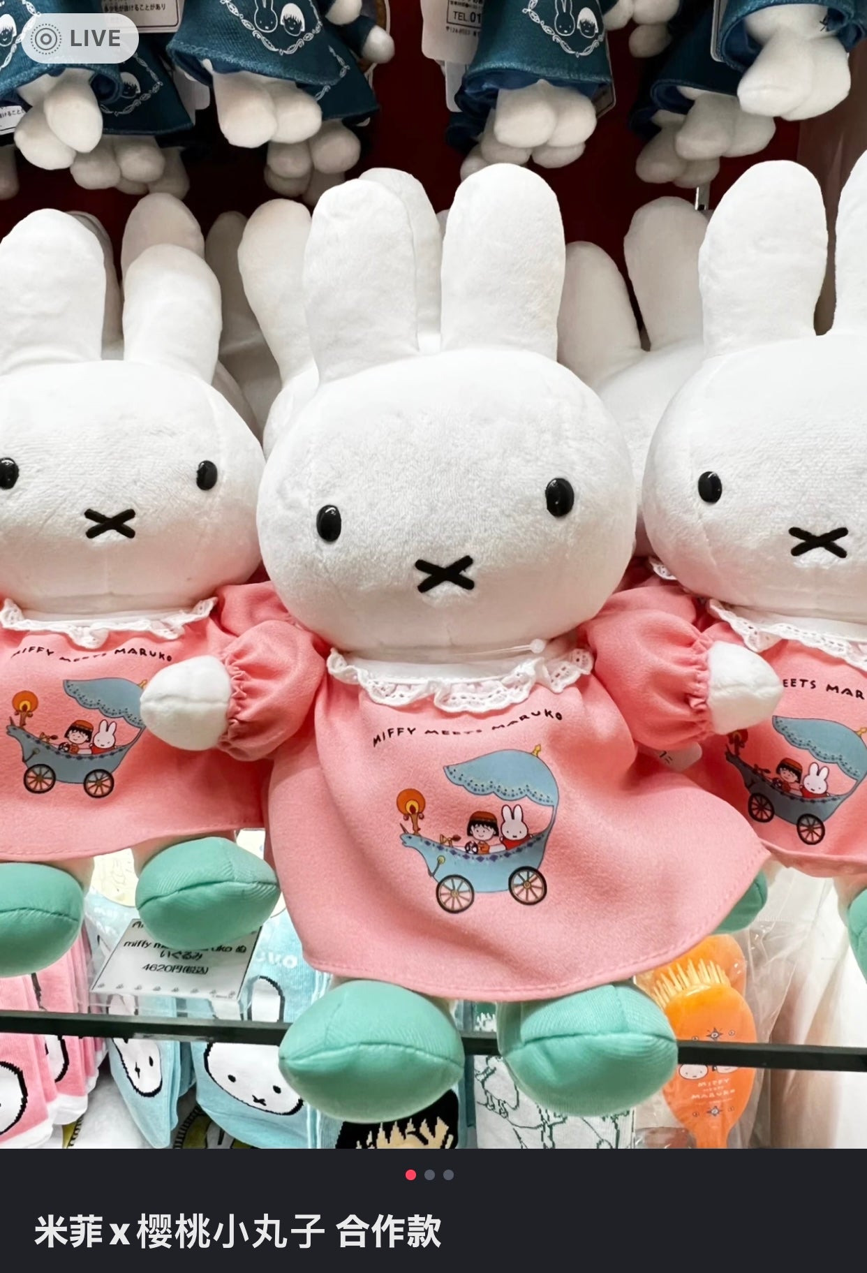Miffy|Meets Maruko Plush Dolls/Plush Toy|H25×W14×D12cm approx.