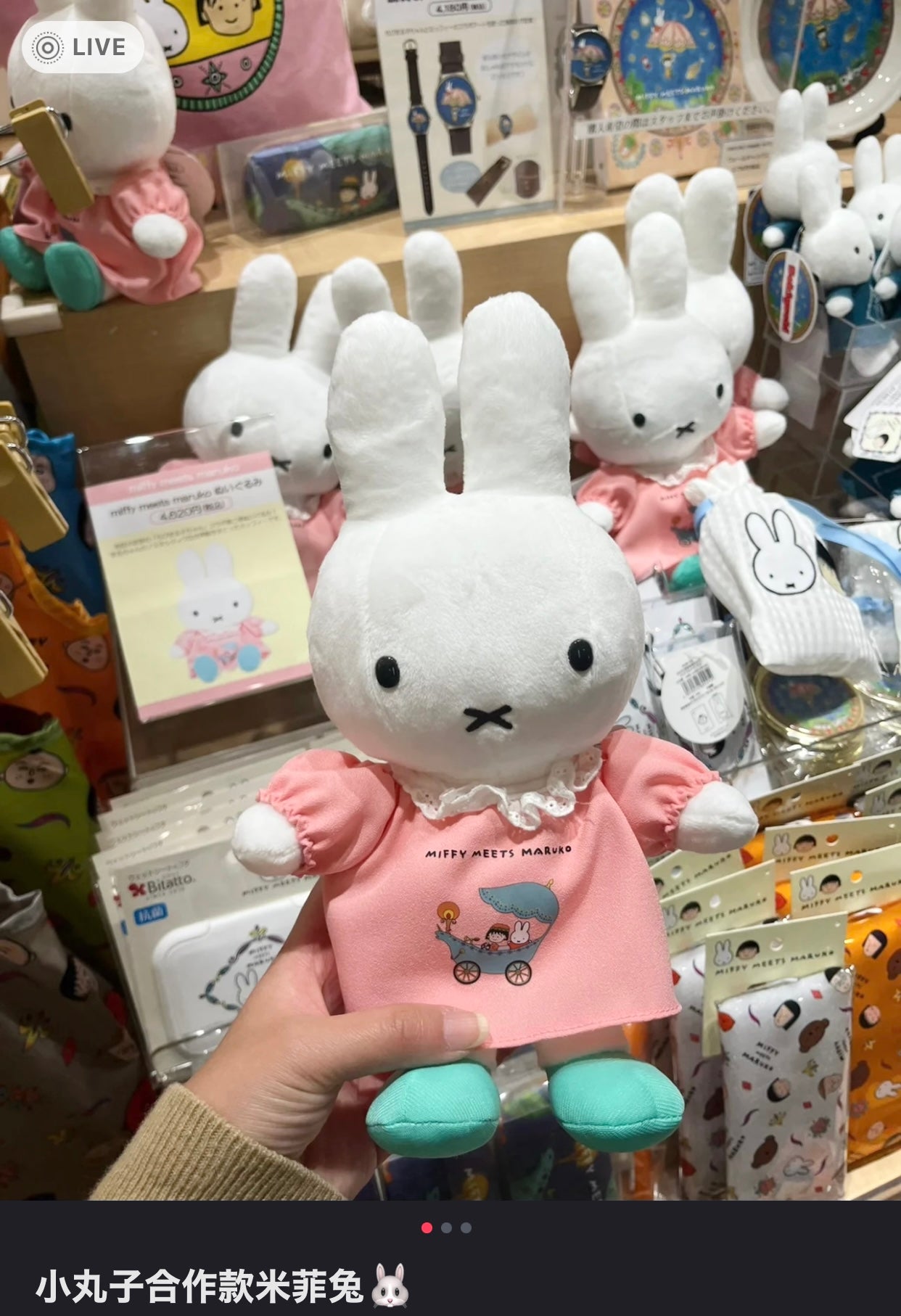 Miffy|Meets Maruko Plush Dolls/Plush Toy|H25×W14×D12cm approx.