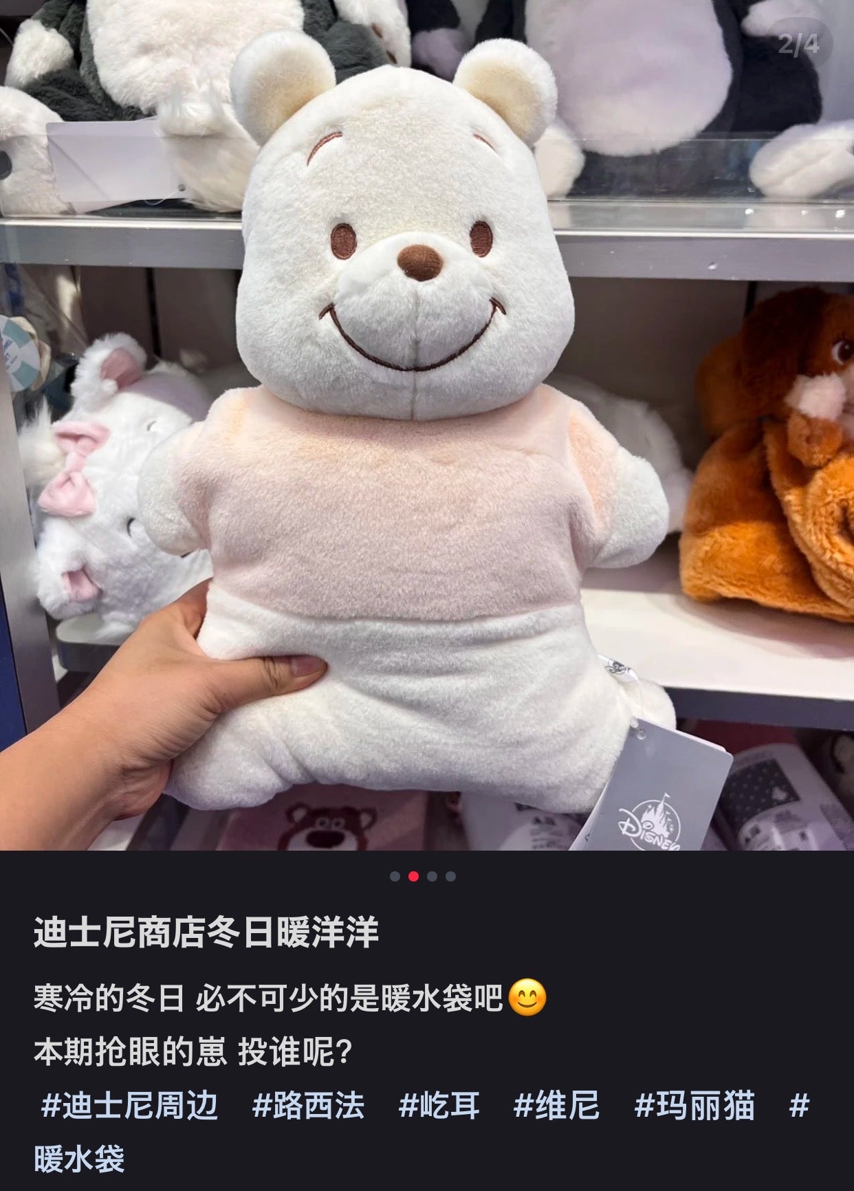 Disney|冬日暖乎乎热水袋限定公仔/玩偶/功能性玩偶