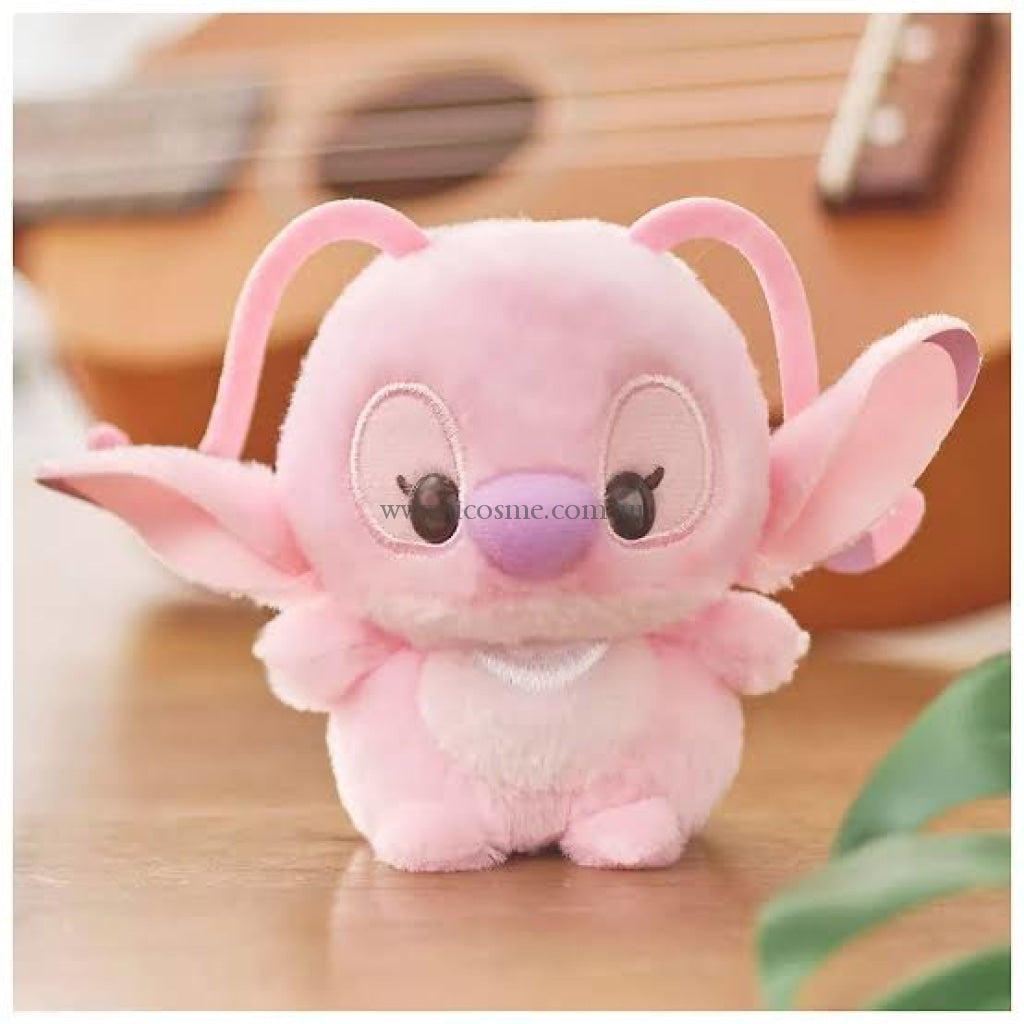 Disney2023/11Cm