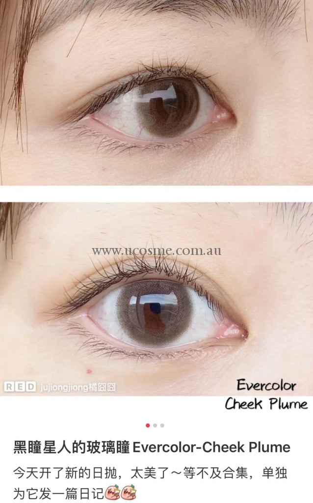Ever Color 1Daymoist Labelcheek Plume/14.5Mm10