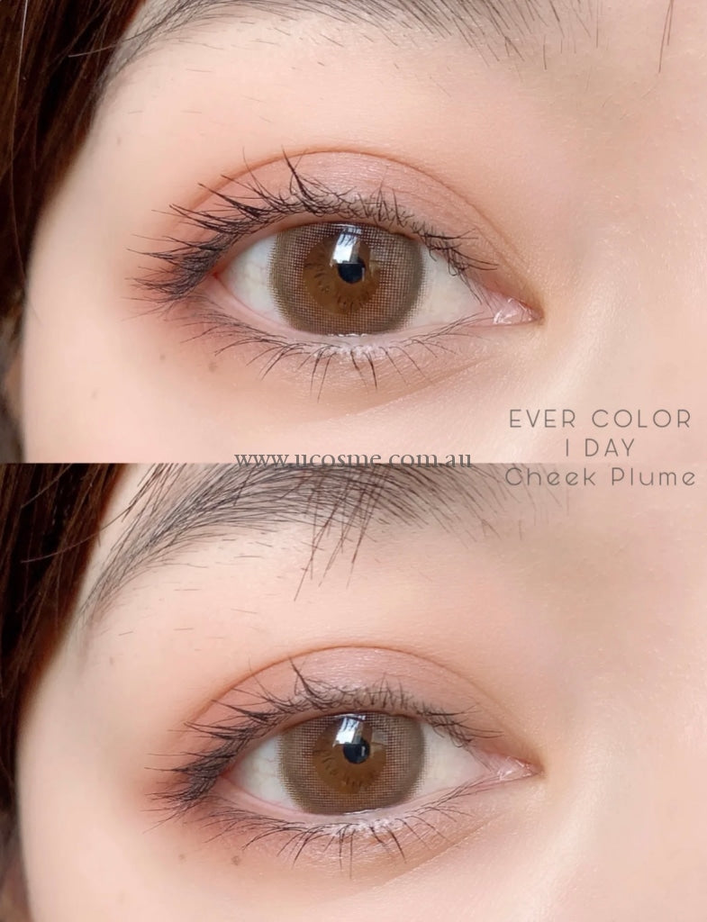 Ever Color 1Daymoist Labelcheek Plume/14.5Mm10