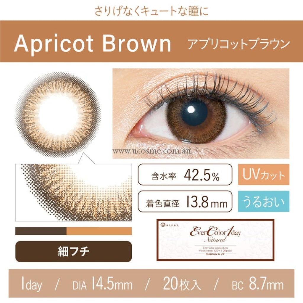 Ever Colour 1Daynaturalapricot Brown/14.5Mm20
