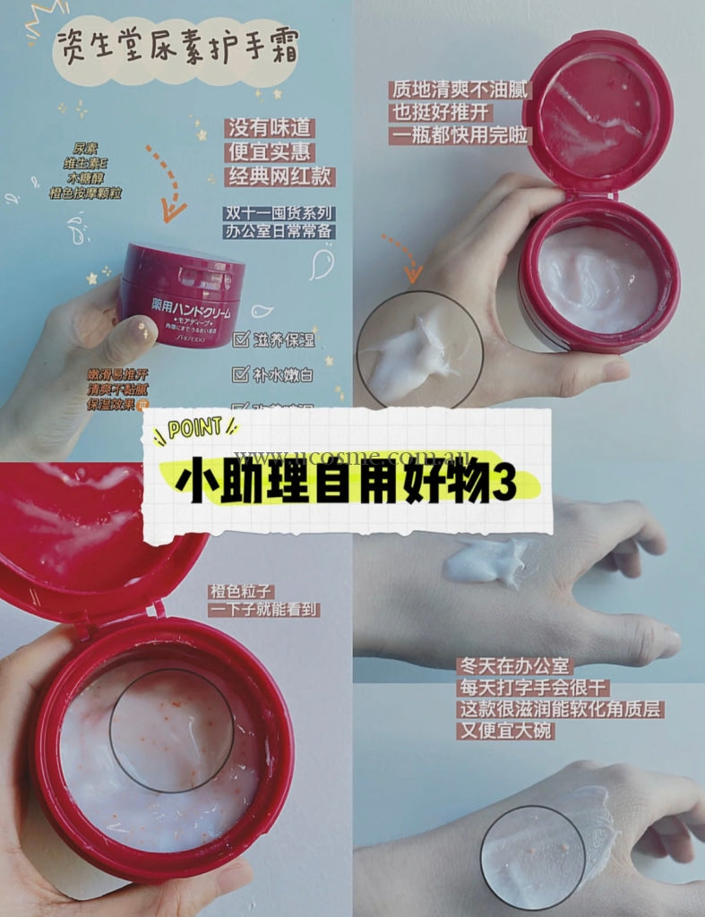 Shiseido/100G