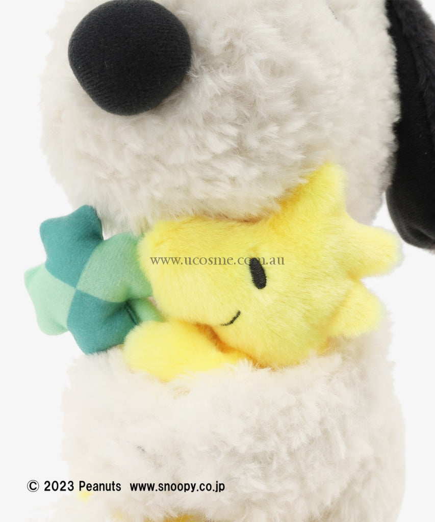 Snoopyafternoon Tea25.5Cm
