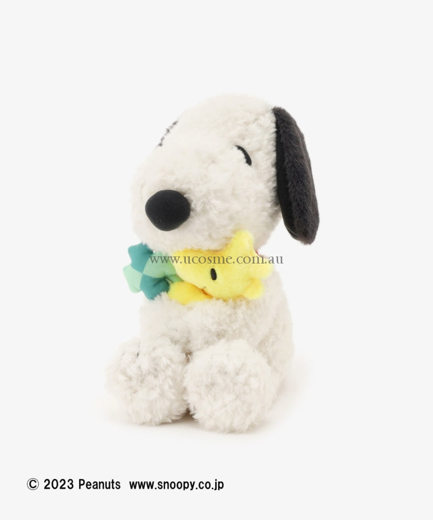 Snoopyafternoon Tea25.5Cm