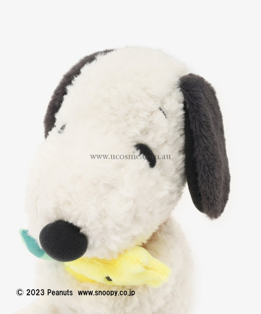 Snoopyafternoon Tea25.5Cm
