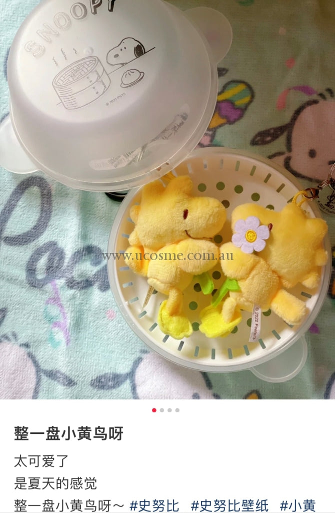 Peanut Snoopy//