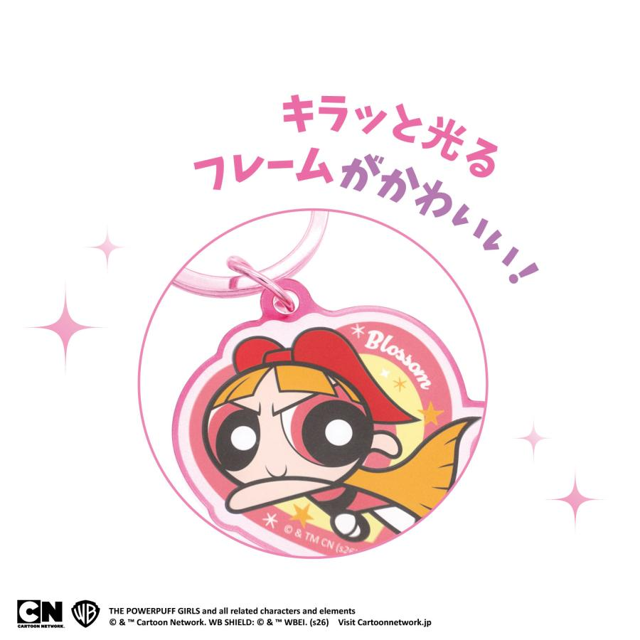 Powerpuff Girls｜framing keyrings mystery bag/blind box/All 10 types｜1pcs