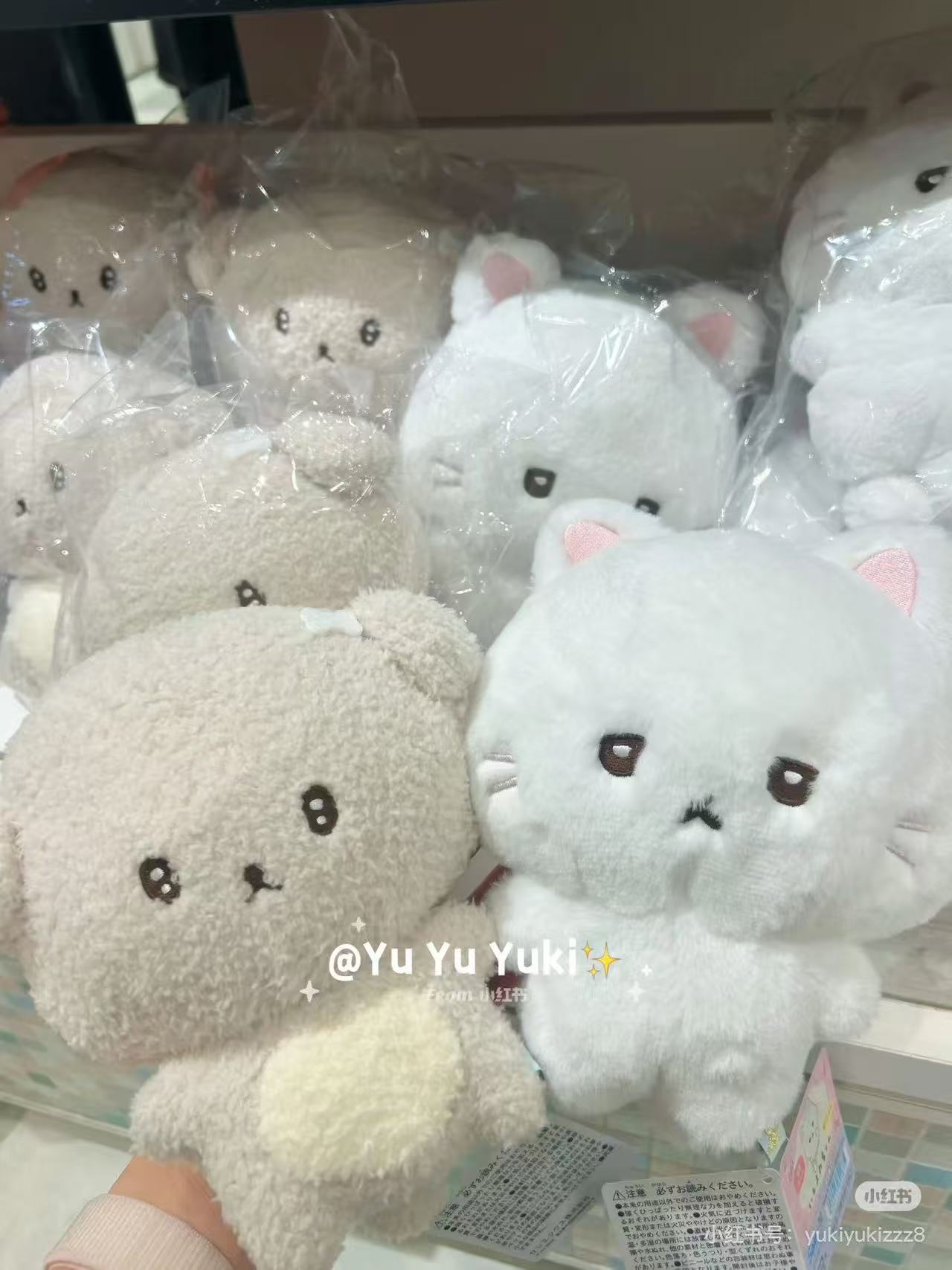 Ishiyowachan｜Junior Chan Appears Plush Dolls/Plush Toy｜190×170×120mm approx.