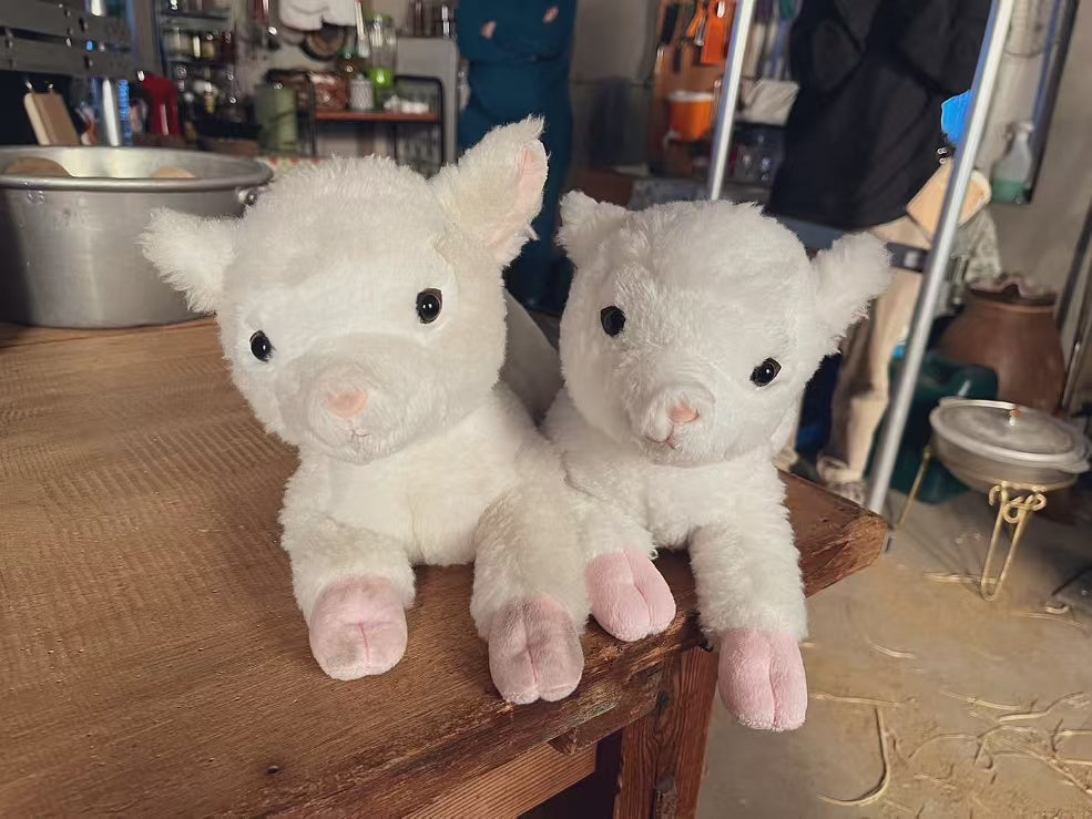 Sunlemon｜Fluffy Plush Dolls/PlushToy｜19x17x37cm approx.