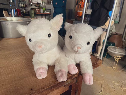 Sunlemon｜Fluffy Plush Dolls/PlushToy｜19x17x37cm approx.