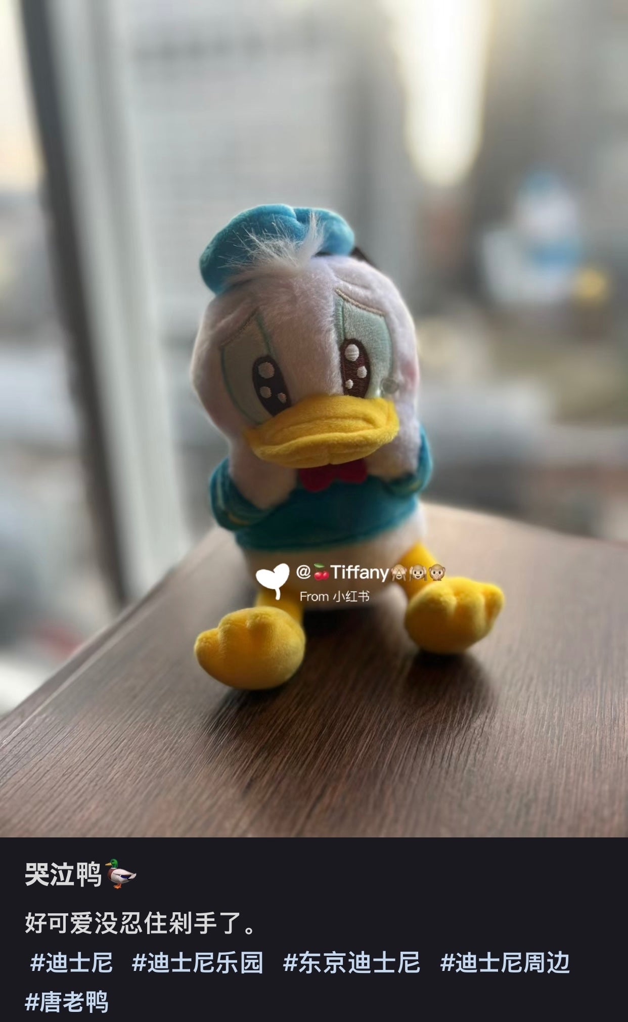 Disney｜哭唧唧/委屈屈限定毛绒挂件/包挂｜高さ約16×幅15.5×奥行き9.5(cm)