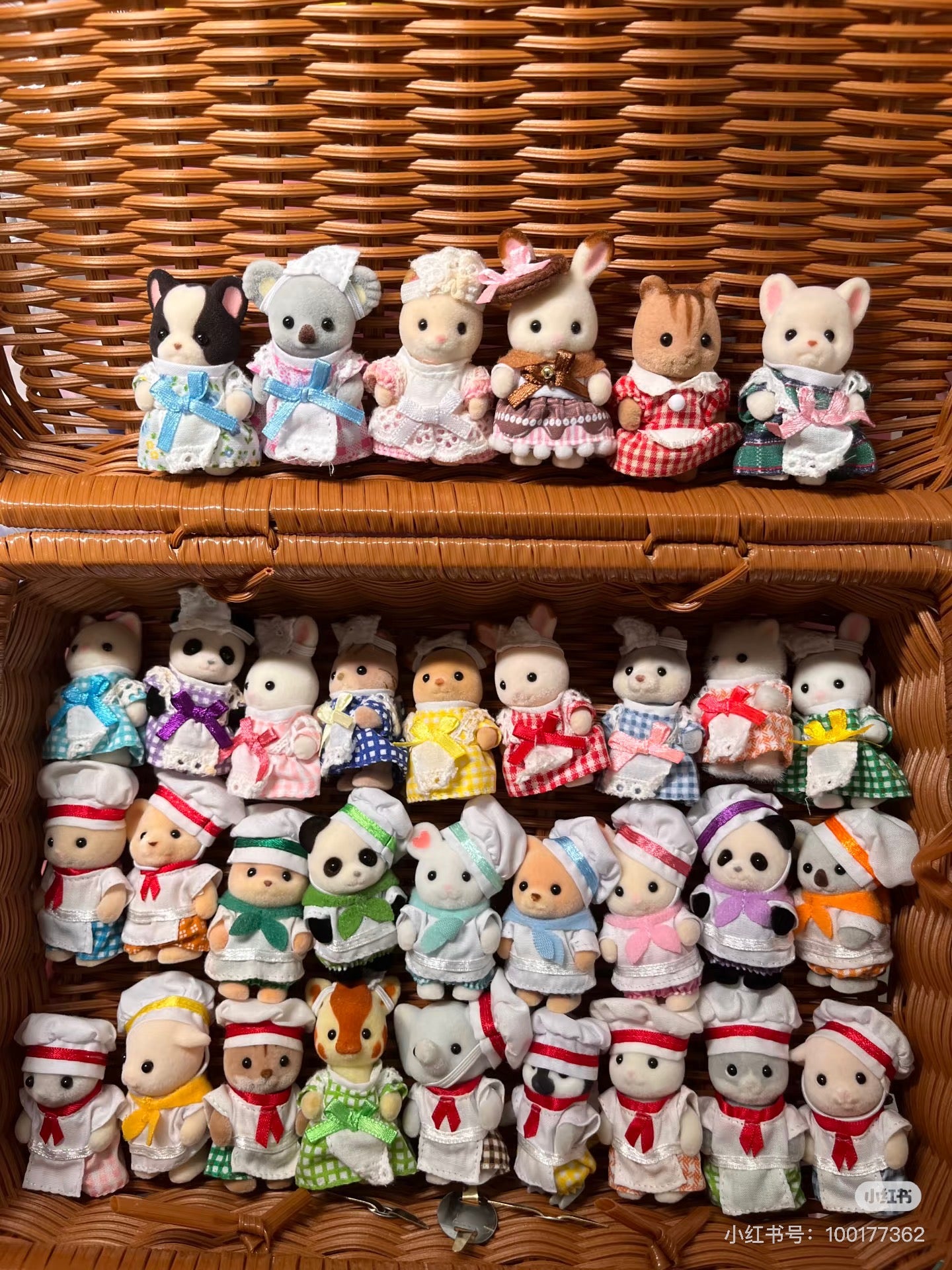 SylvanianFamilies｜FOREST KITCHEN BABY Walnut Squirrel baby Doll