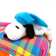 Snoopy｜Peanuts Snoopy &amp; Charlie Brown Bed Tissue Cover｜H12×W25×D13cm approx.