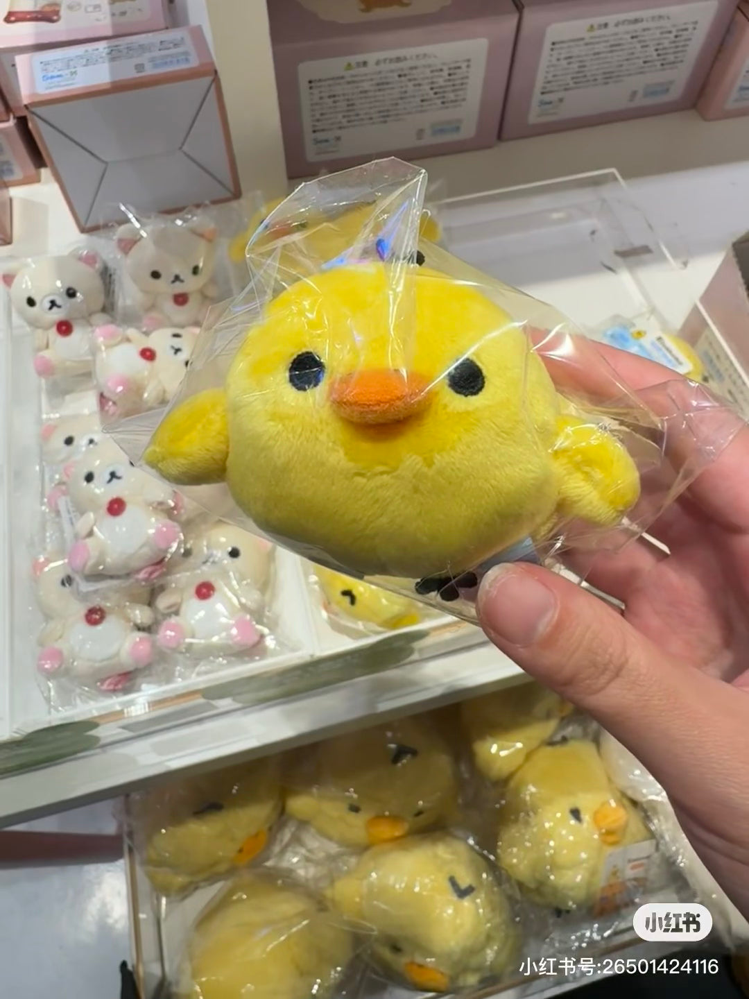Rilakkuma轻松熊｜San-X Hand-held Plush/Wonderful House Sitting奇妙屋可爱场景毛绒玩偶摆件/手玉｜约60×80×55mm