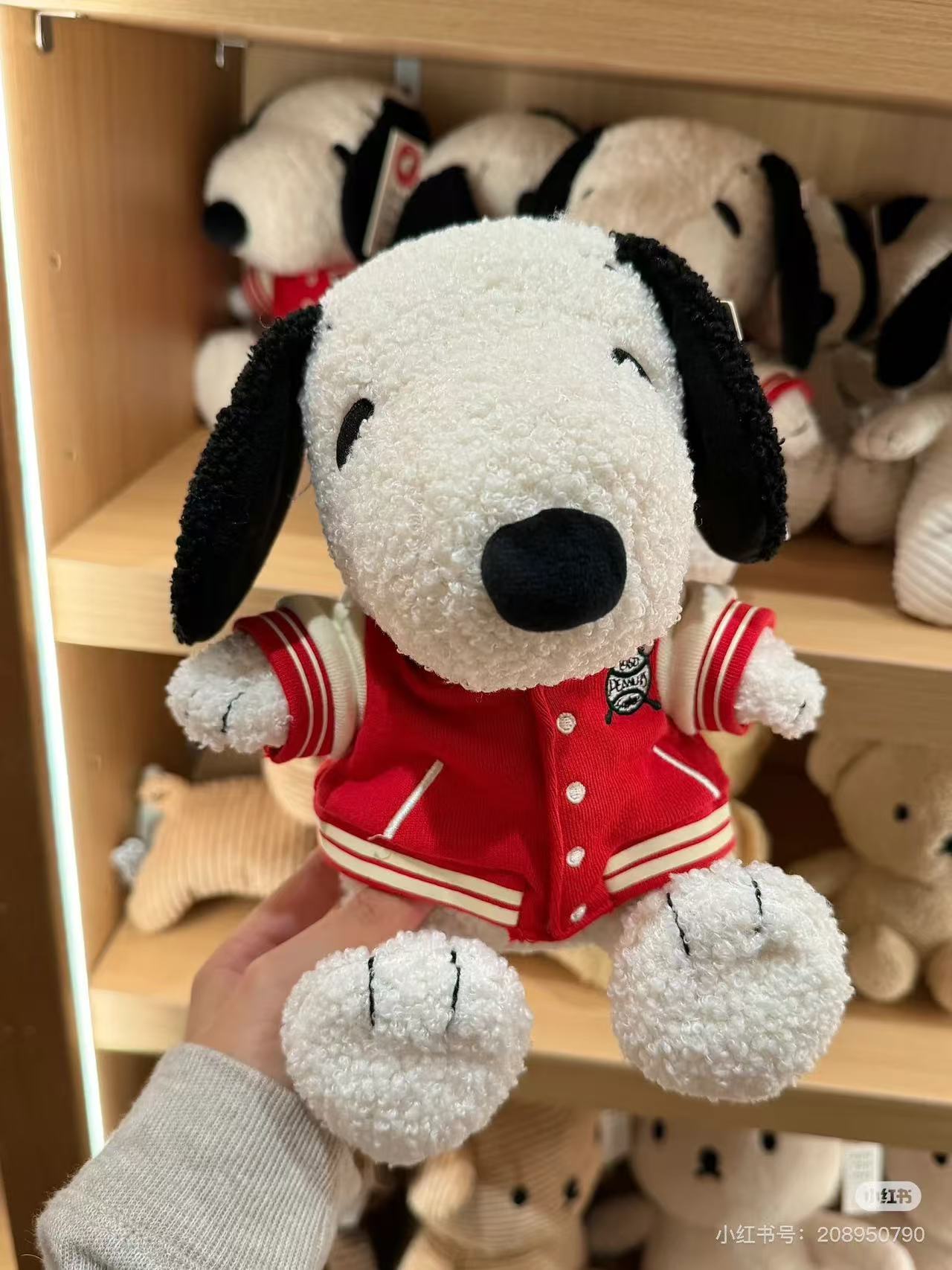 Snoopy｜Peanuts Sitting with Varsity Jacket Plush Dolls/Plush Toy｜H25cm approx.