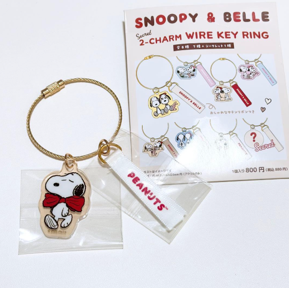 Snoopy｜Peanuts  50th Anniversary Wire Keyring Charm mystery bag/blind box/All 8 types｜1pc