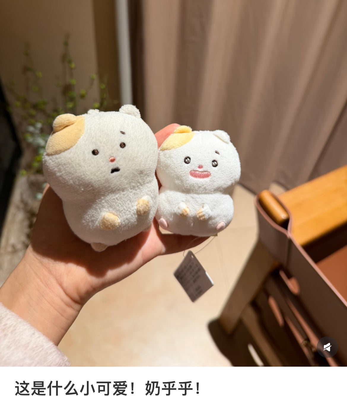 Sanx｜Little Moments of Joy Mainichi Hamuchima Tenori Plush (SS)｜70×65×45mm approx.