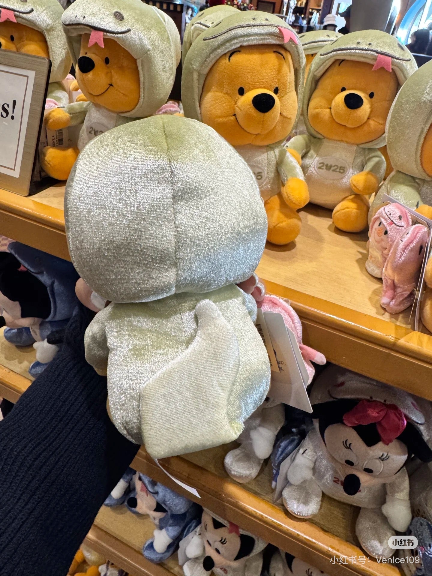 Disney迪士尼｜东迪2025蛇年限定pooh噗噗维尼玩偶公仔+Piglet皮杰小猪毛绒吊饰/皮杰小指偶