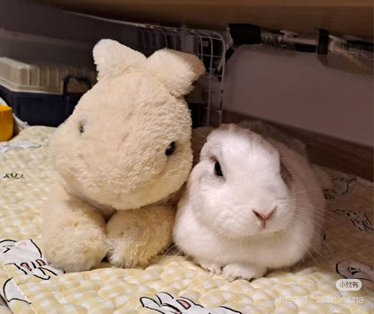 Sunlemon｜Fluffy Plush Dolls/PlushToy｜19x17x37cm approx.