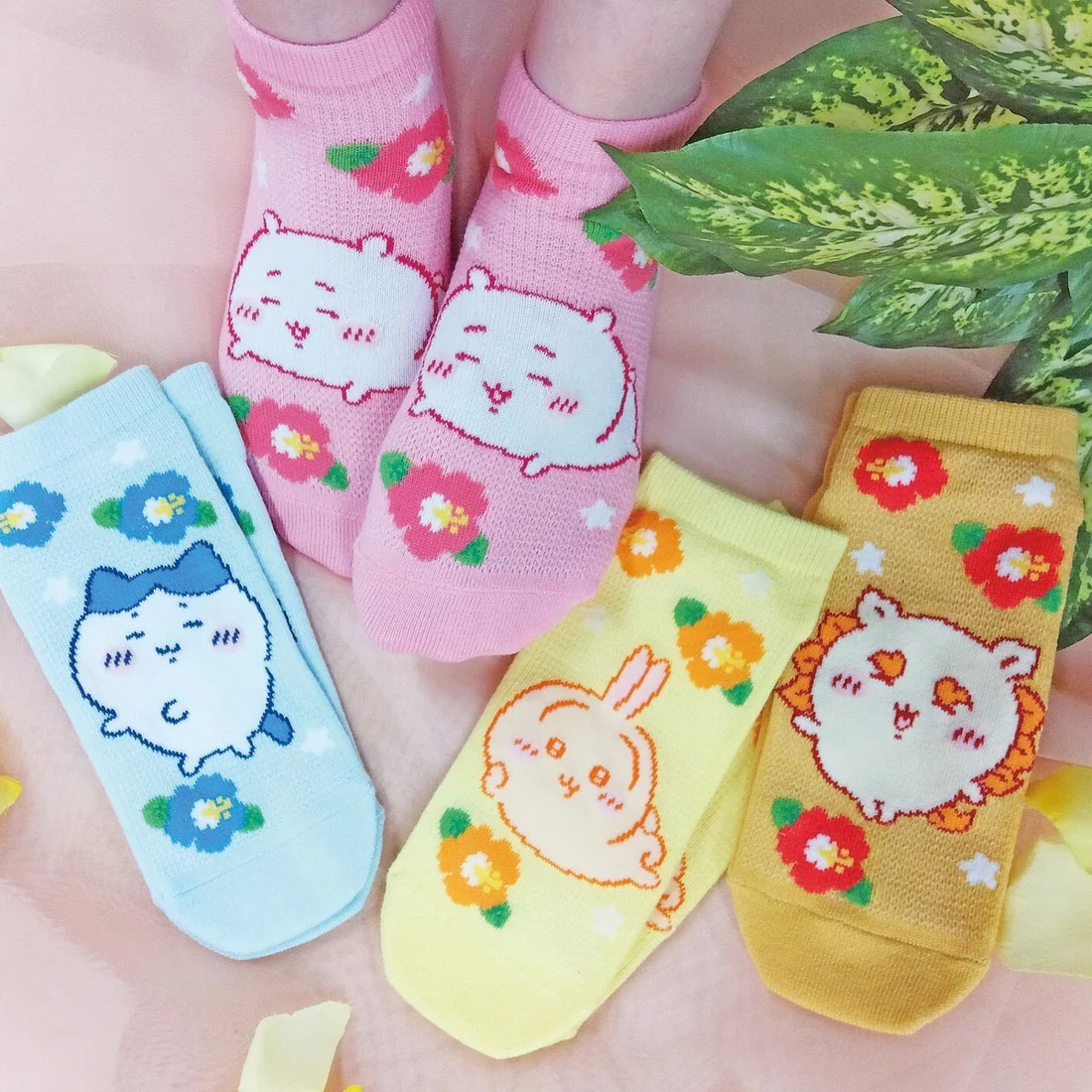 chiikawa｜Mesh Sneaker Socks｜23-25cm