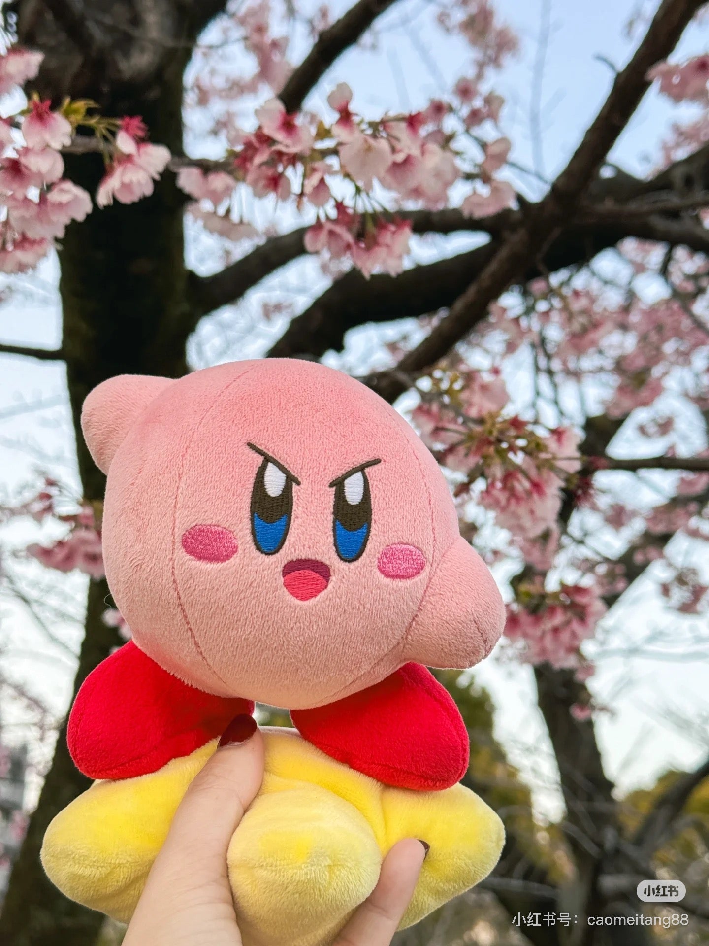 Kirby星之卡比｜San-ei Kirby Warp Star Plush Small超可爱星之卡比踩星星毛绒玩偶/公仔/S号｜约140x140x165mm