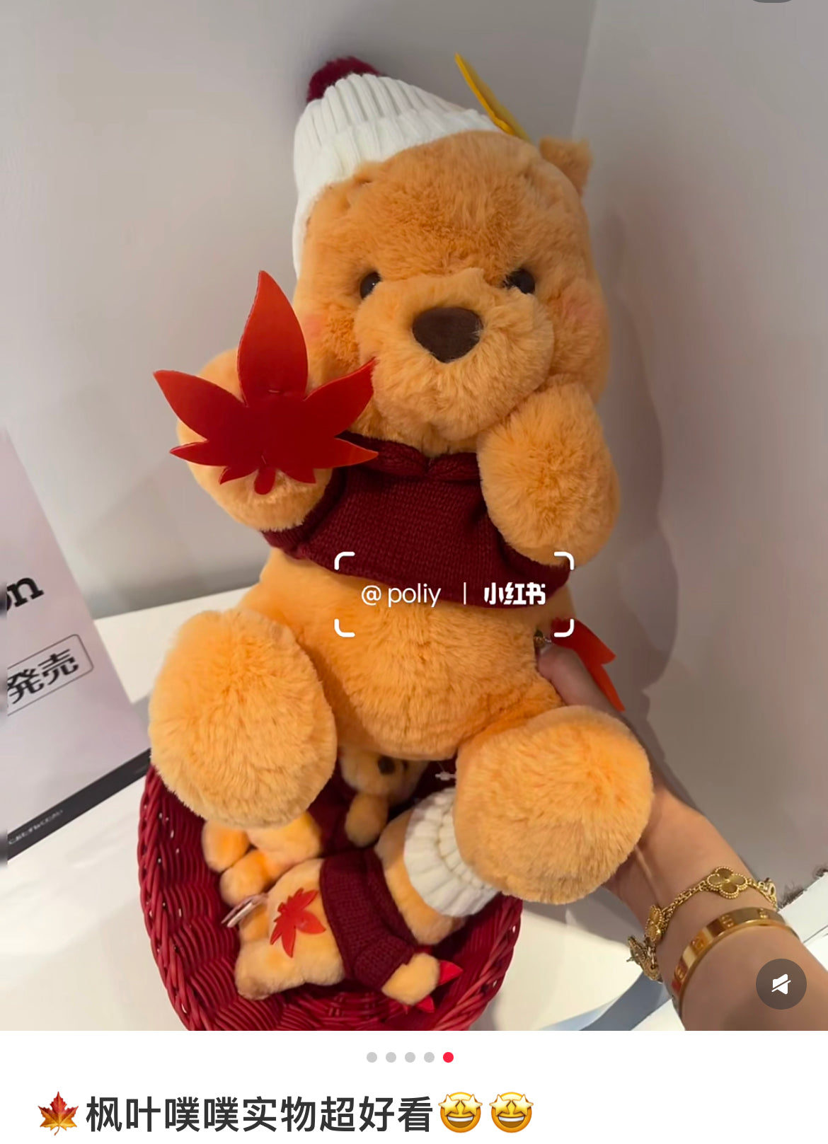 Disney｜Momiji Winnie the Pooh Plush Dolls/Plush Toy｜H35×W23×D25cm approx.