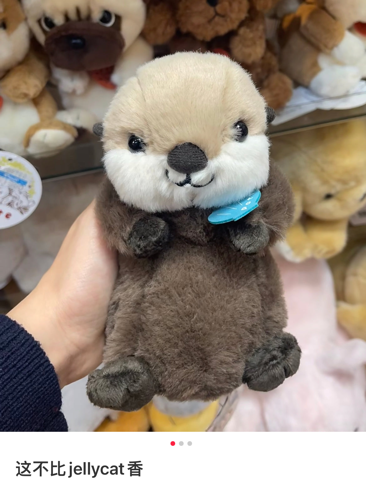potte｜Animal motif stuffed sea otter Plush Dolls/PlushToy｜W9 x H9 x D16cm approx.