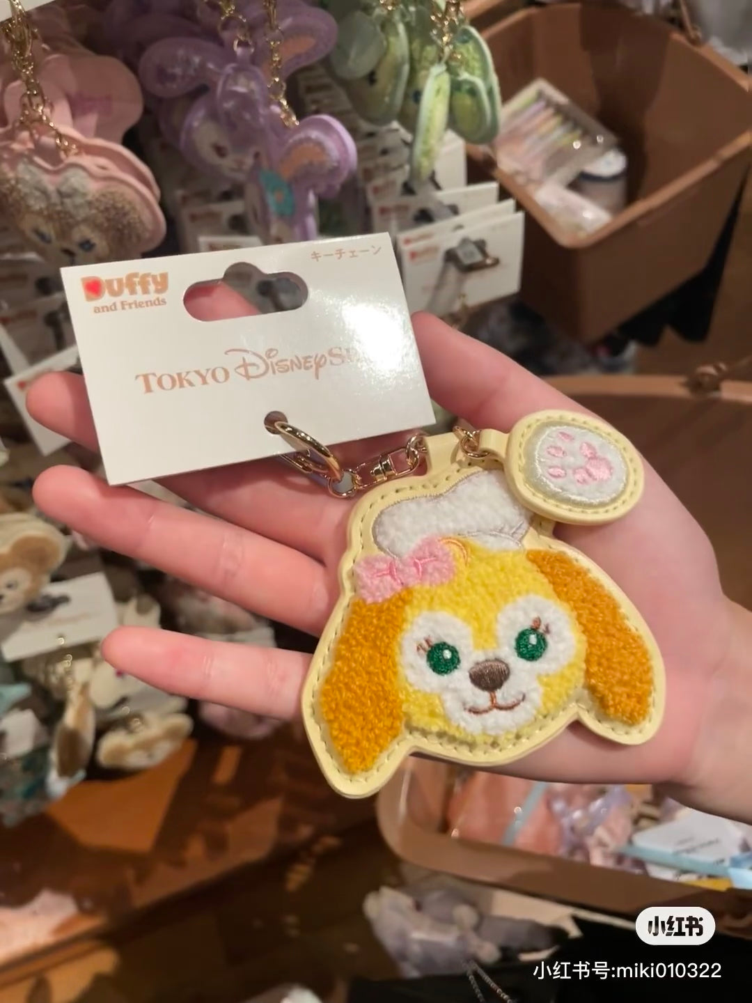 Disney迪士尼｜东迪Duffy达菲和他的朋友们毛绒绒刺绣皮质感七宝钥匙扣/正面都可爱/还有手掌印小吊饰