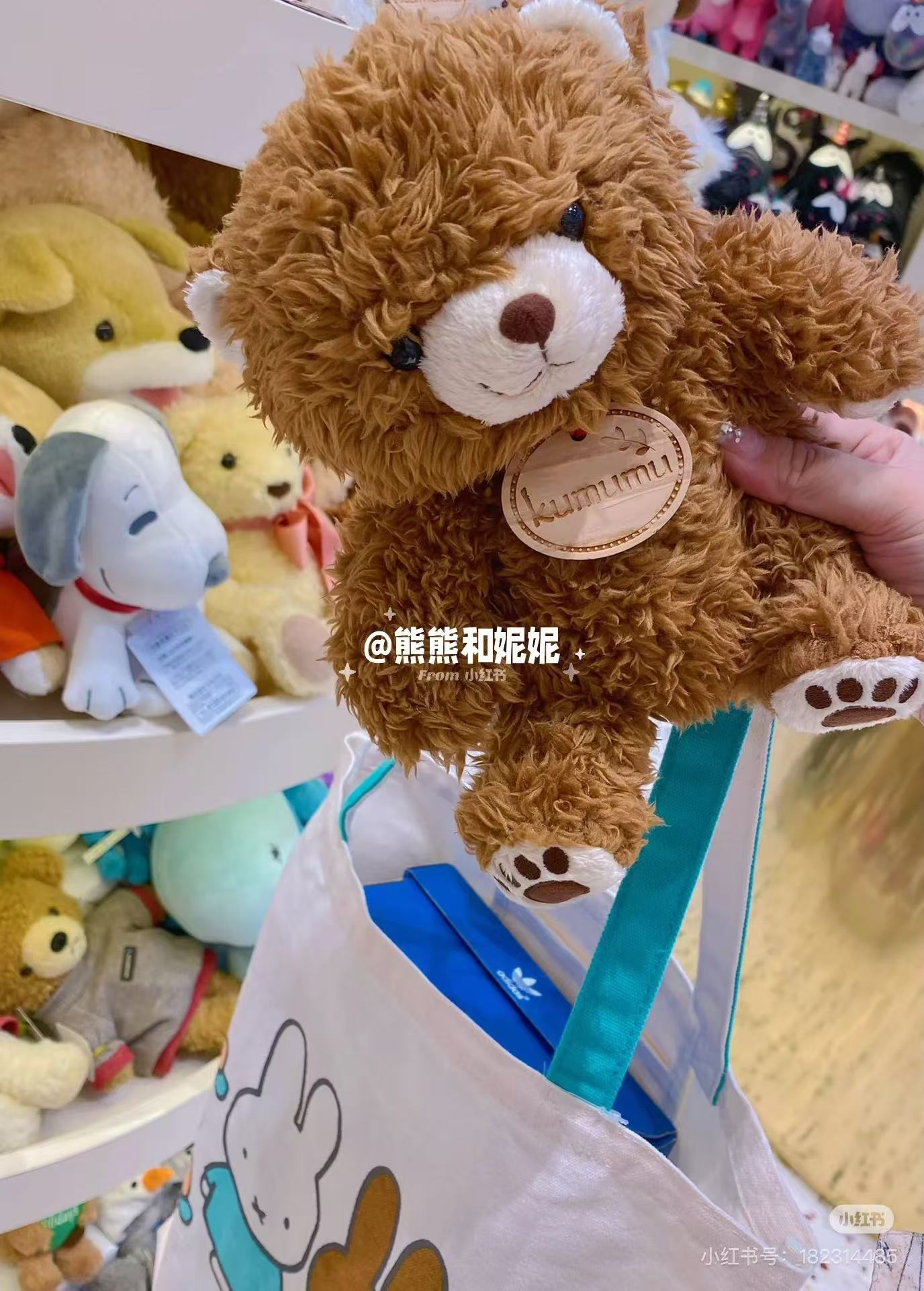 Kumumu｜Bear Plush Dolls/Plush Toy｜Height 20cm approx.