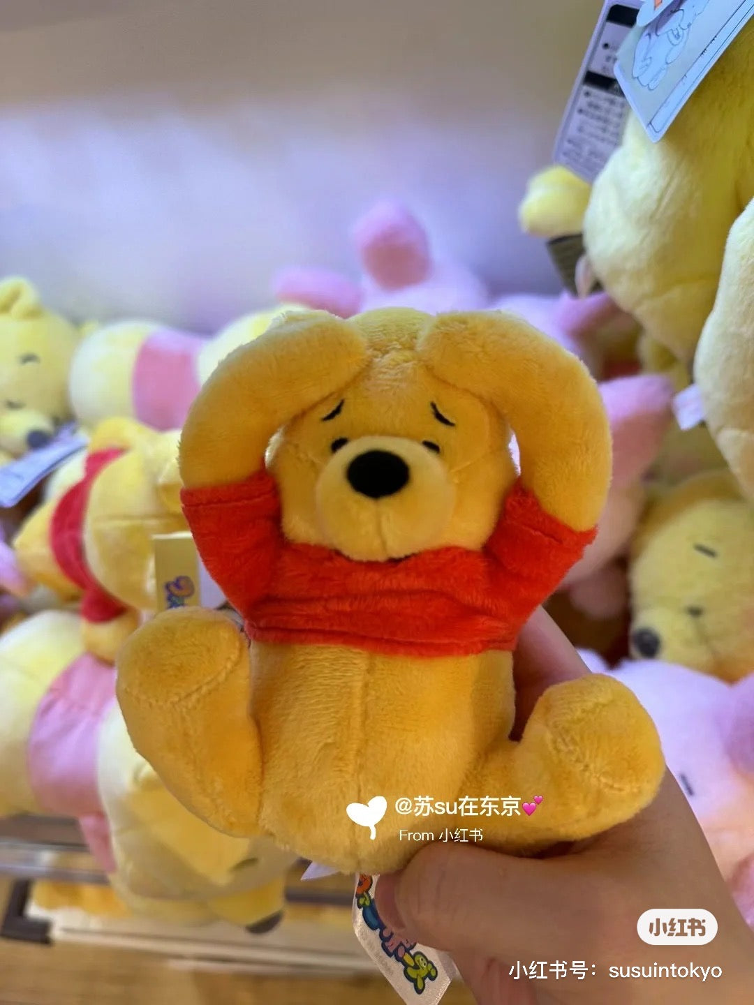 Disney｜Pooh 噗噗抱脑袋表情挂件/玩偶｜約W80×H120×D80mm