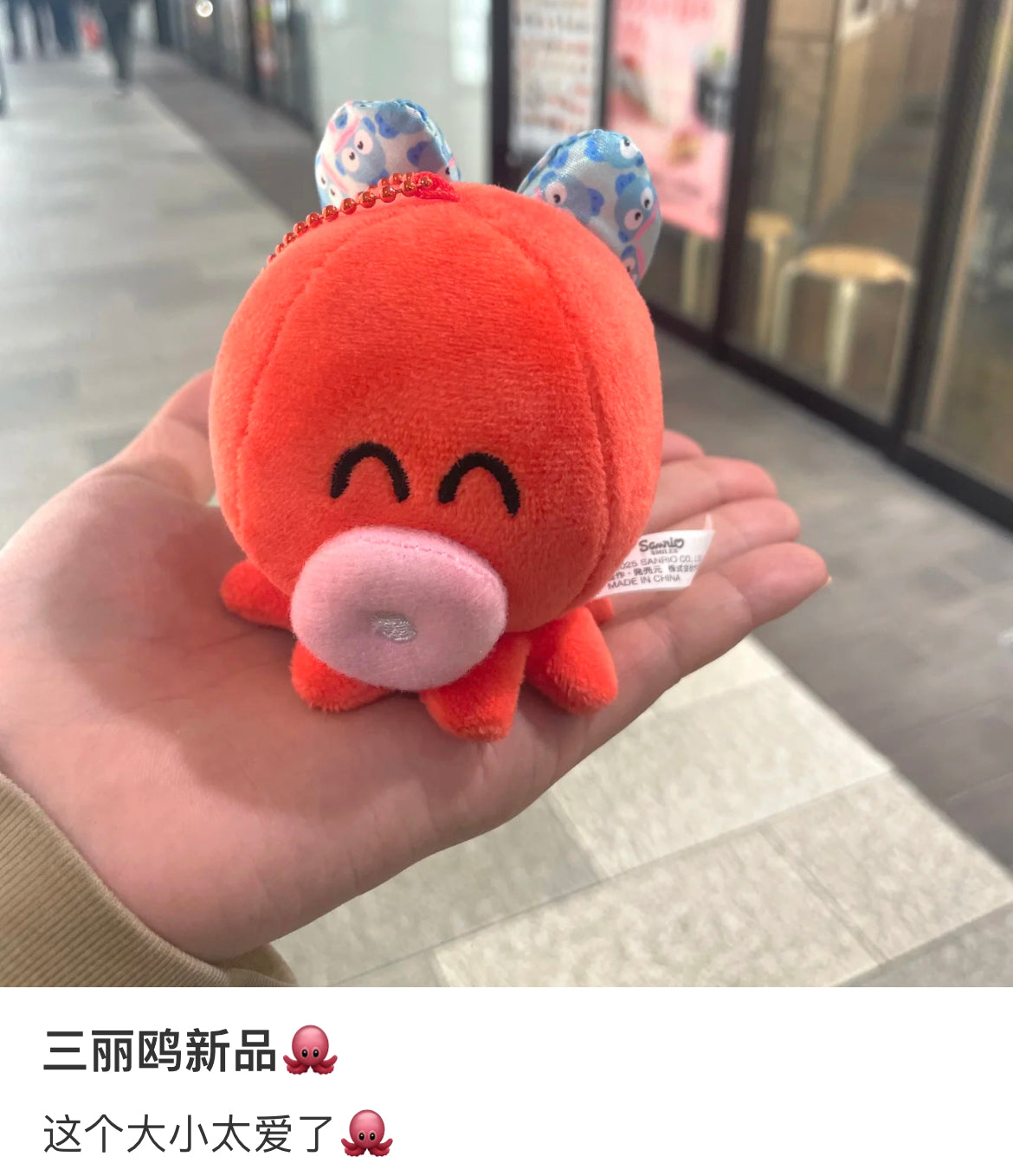 Sanrio｜Hangyodon 40th Anniversary Happy Life Mascot Holder /Plush Keychain｜8×8×9cm approx.