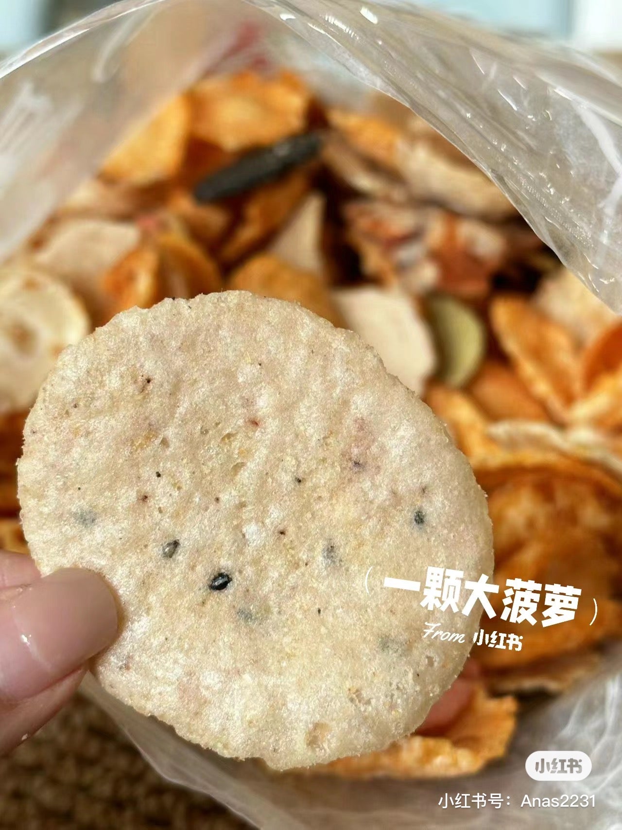 Ebisato｜名古屋人气什锦虾片综合大包/硬脆口感/虾味巨浓｜280g【24.10.28】