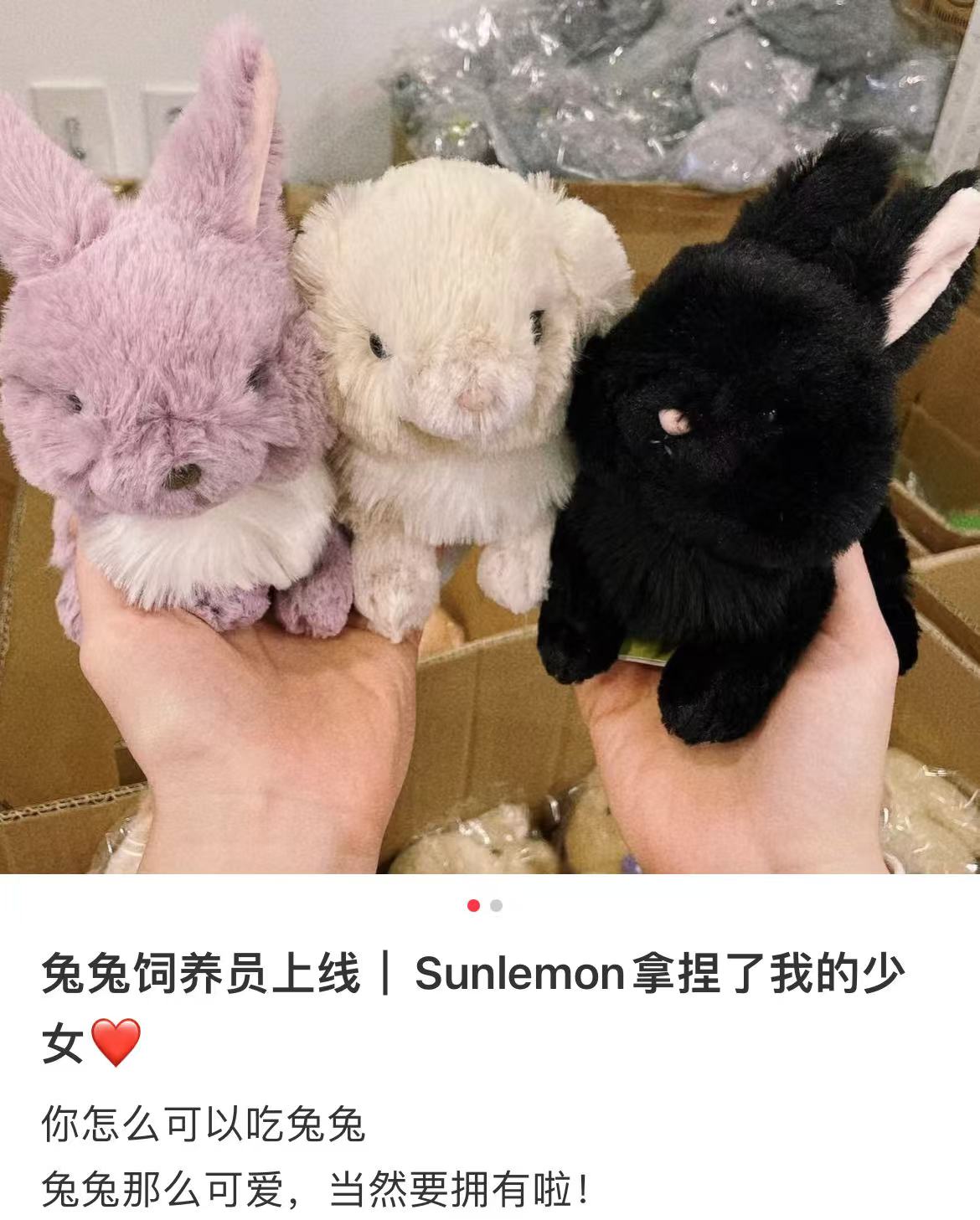 Sunlemon｜Rabbit Plush Dolls/PlushToy｜H17 x W12 x D16 cm approx.