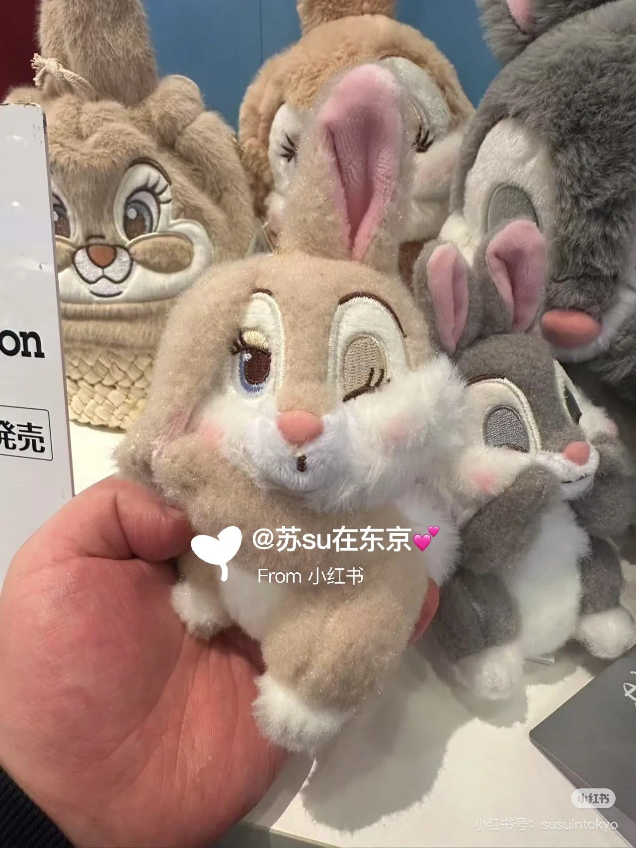 Disney｜Miss Bunny &amp; Thumper Mascot Holder /Plush Keychain PASTEL BUNNIES｜H16.5×W9.5×D8cm approx.