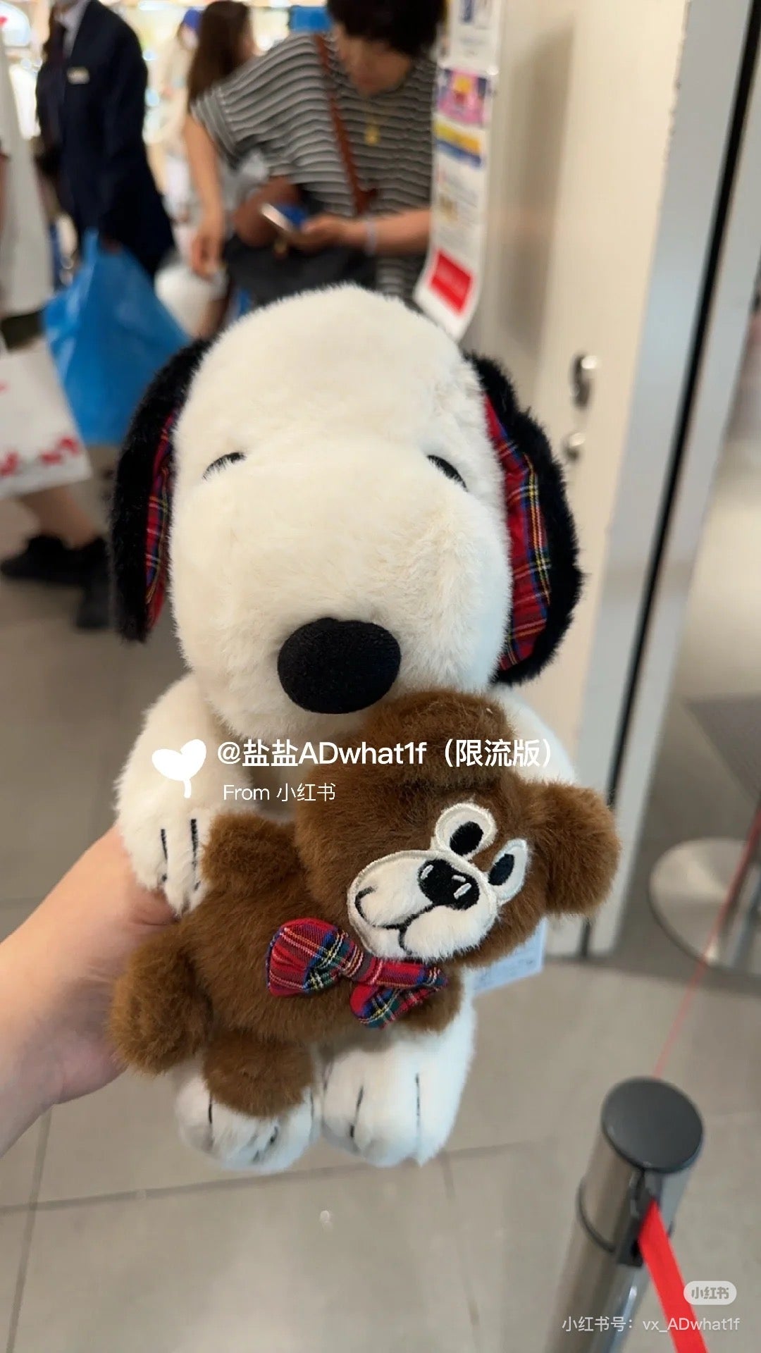 Snoopy史努比｜展会限定抱泰迪熊玩偶/公仔S~M