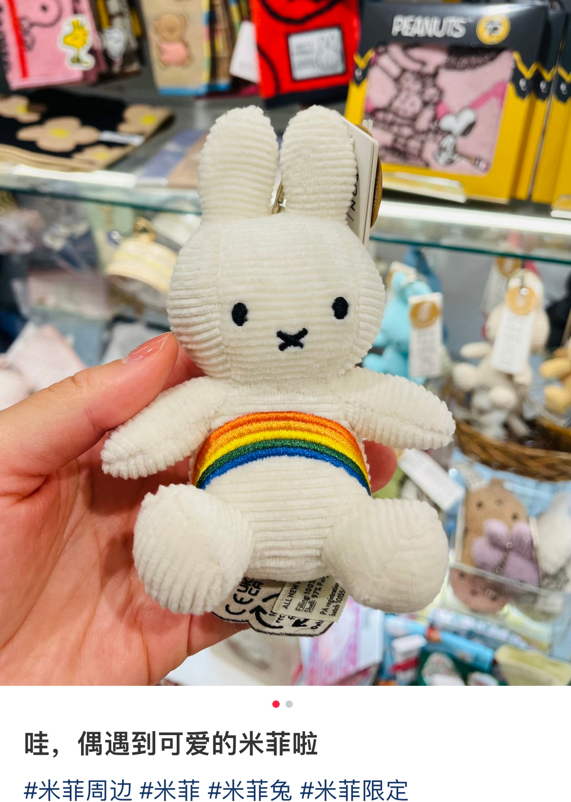 Miffy｜Rainbow Mascot Holder /Plush Keychain｜H10cm approx.