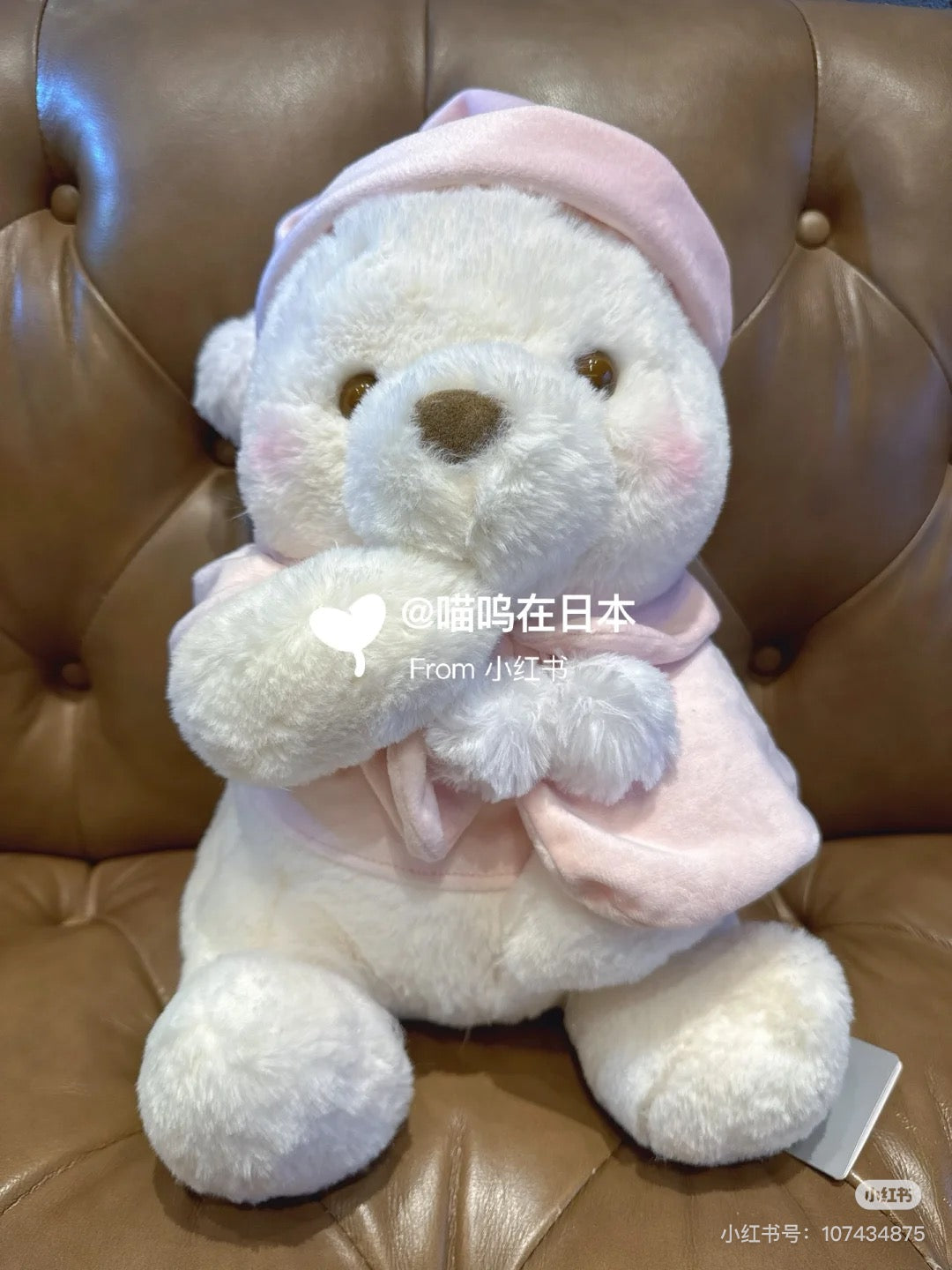 Disney迪士尼｜Plush Toy (M) - Pooh / White Pooh Fruit Latte Color Cape Pink东迪冬日限定水果拿铁色睡衣睡帽斗篷系列噗噗维尼软乎乎坐姿毛绒玩偶/公仔/M号｜约33×25×25cm