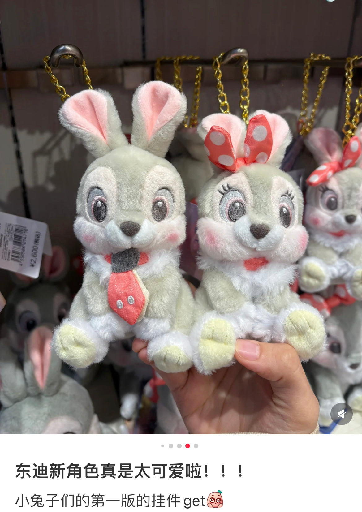 Disney｜UniBestiez Ein Rabbit Mascot Holder /Plush Keychain｜5.5 × 7 × 8.5cm approx.