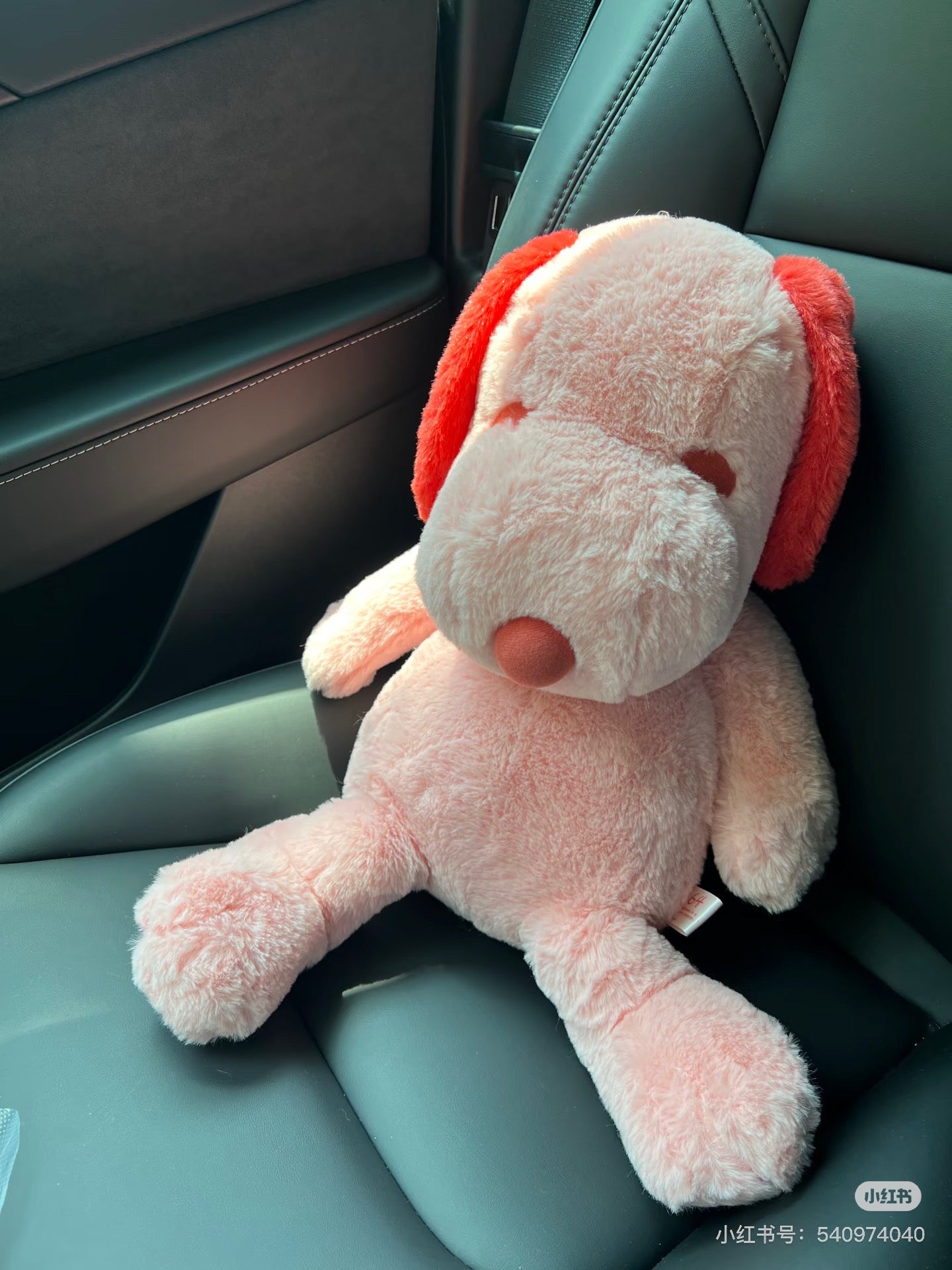 Snoopy｜Peanuts &quot;Happiness is a warm puppy..&quot;pink Plush Dolls/Plush Toy ｜H38 x W25 x D24cm