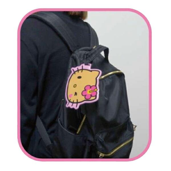 Hello kitty｜Die-cut PVC Case｜10.9cm×15.6cm approx.