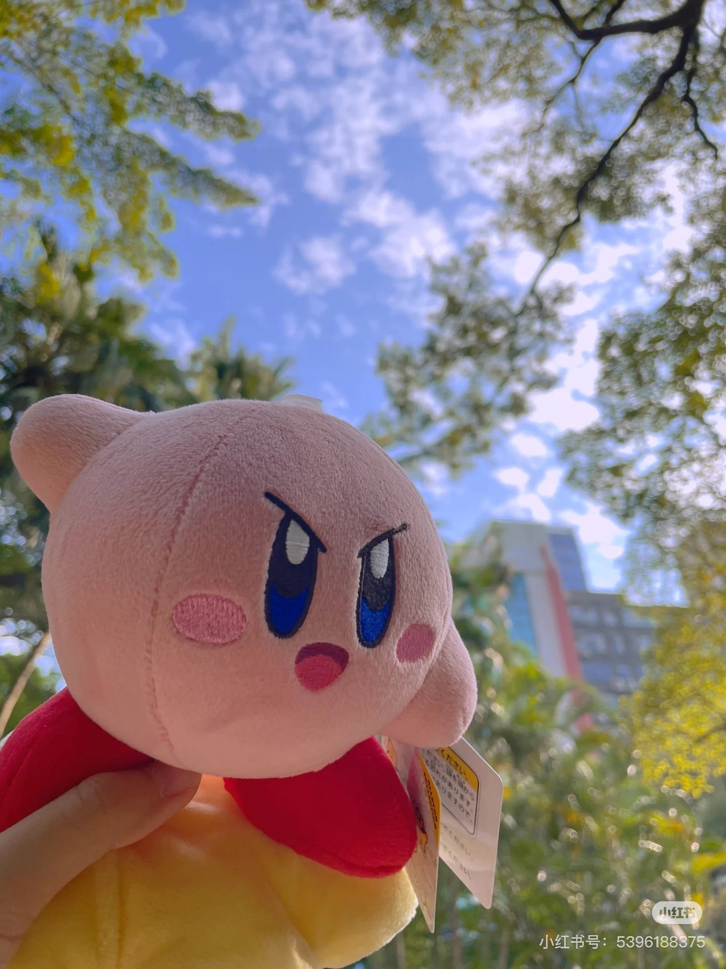 Kirby星之卡比｜San-ei Kirby Warp Star Plush Small超可爱星之卡比踩星星毛绒玩偶/公仔/S号｜约140x140x165mm