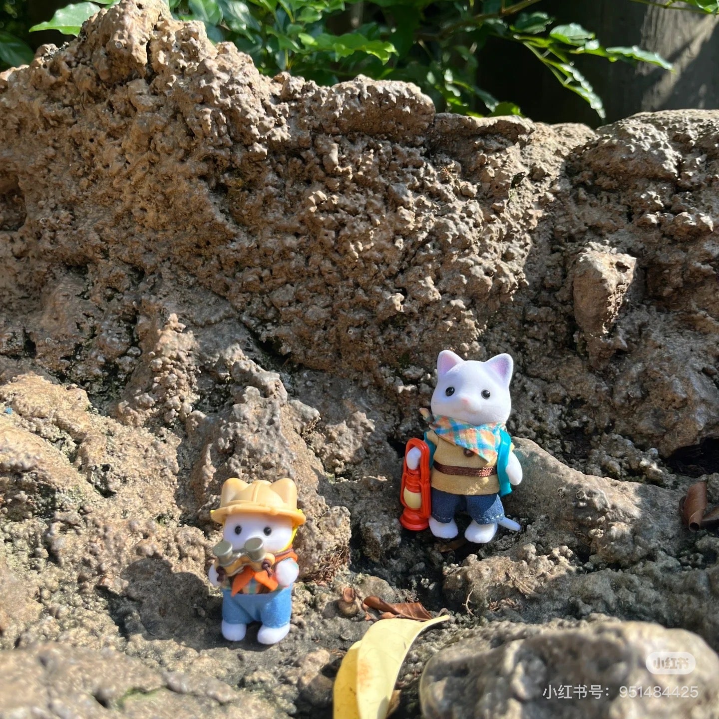 SylvanianFamilies森贝儿家族｜Exciting Exploration Set -Latte Cat Brother &amp; Baby拿铁猫弟弟和宝宝探险队套组5763
